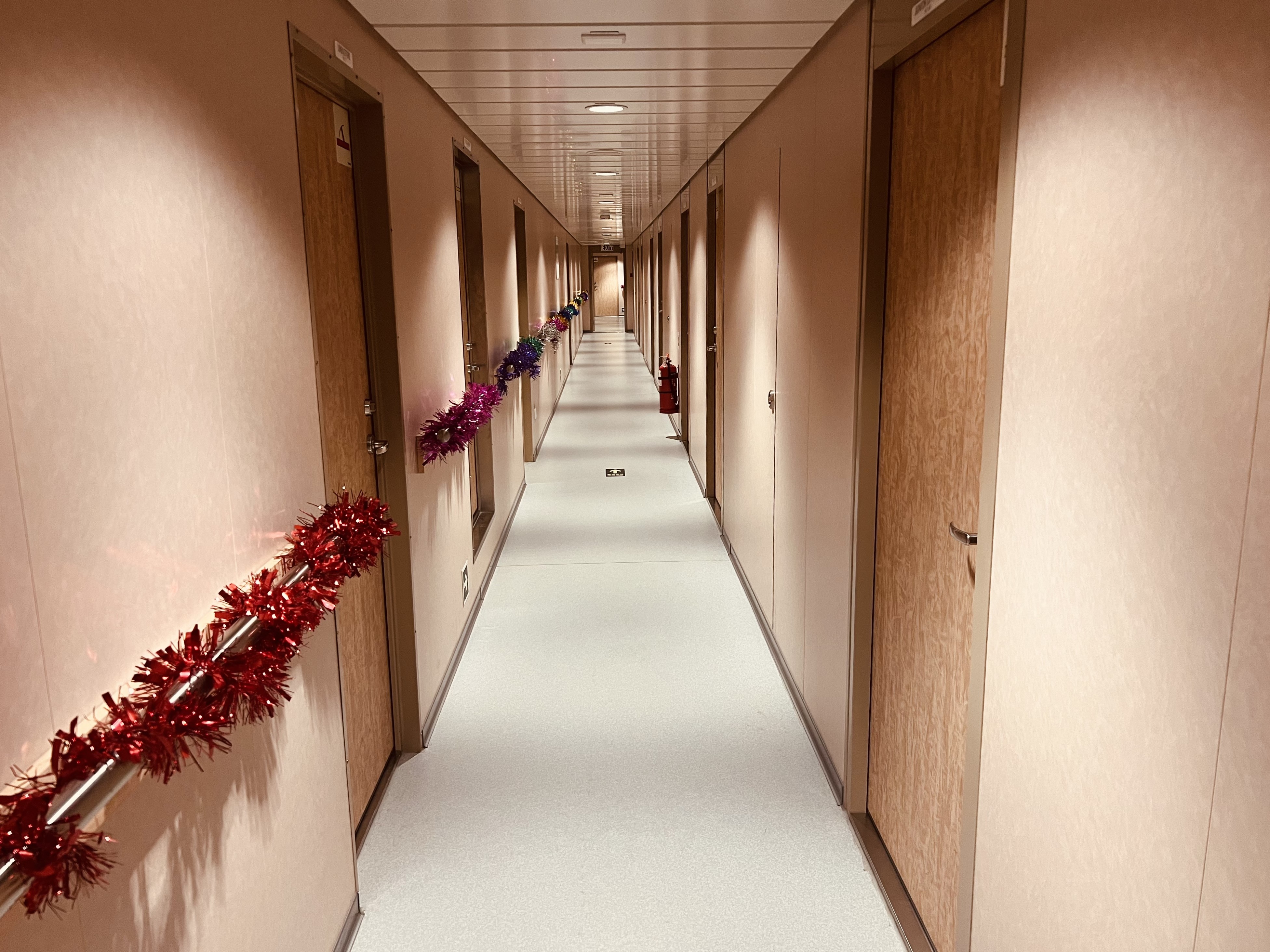 華南建材參建的全球最大最環(huán)保汽車運輸船H?egh Aurora命名交付 華南建材參建的全球最大最環(huán)保汽車運輸船H?egh Aurora命名交付