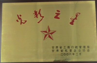 2006年光彩之星獎