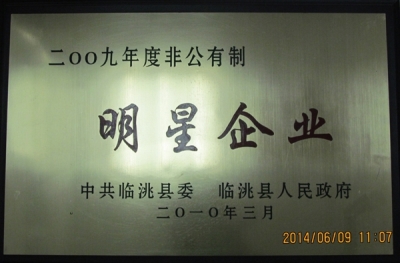 2009年度非公有制明星企業獎